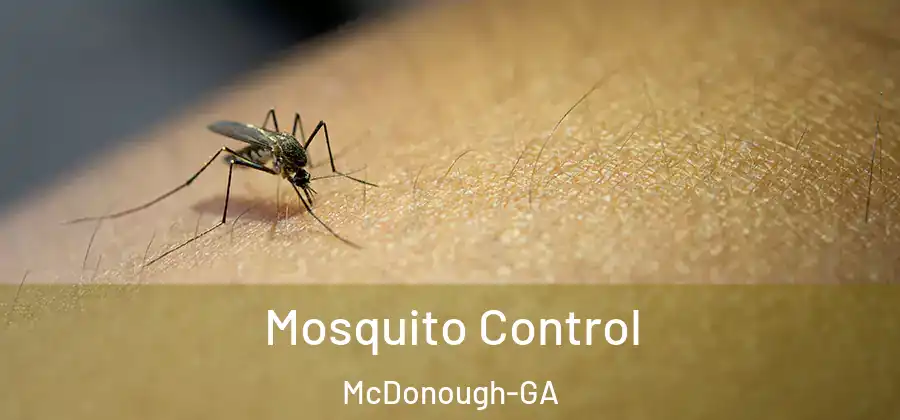  Mosquito Control McDonough-GA