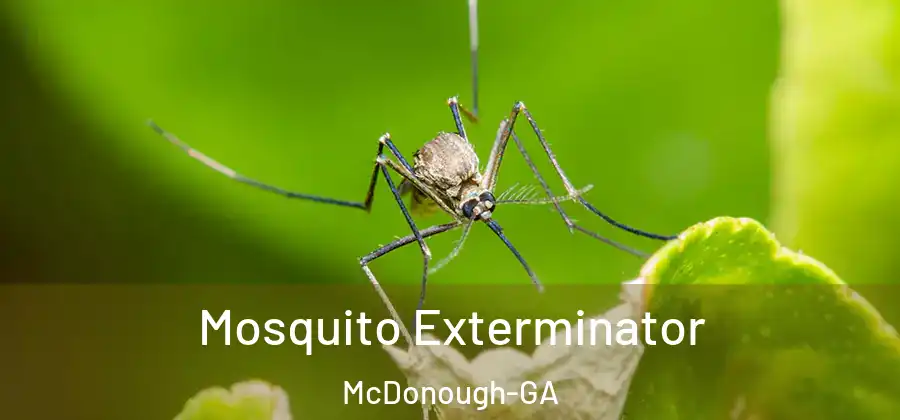  Mosquito Exterminator McDonough-GA