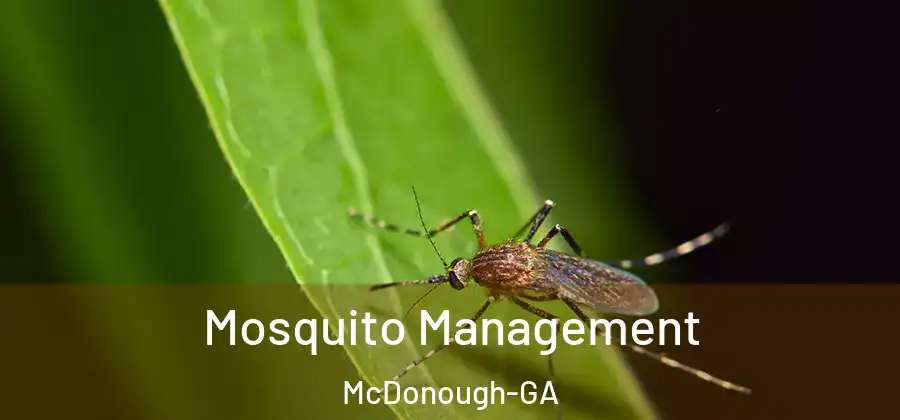 Mosquito Management McDonough-GA