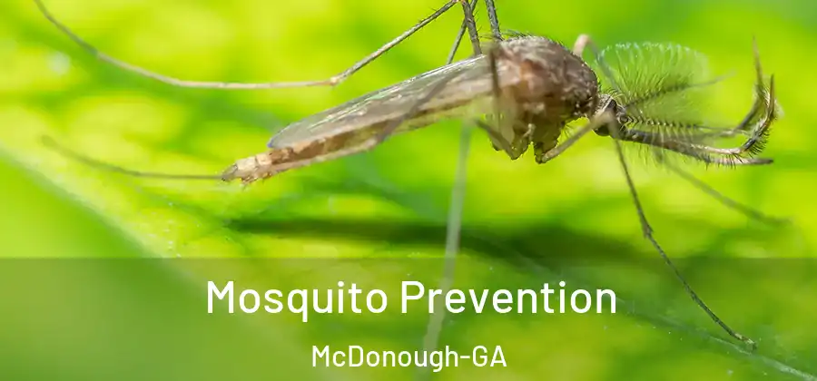 Mosquito Prevention McDonough-GA