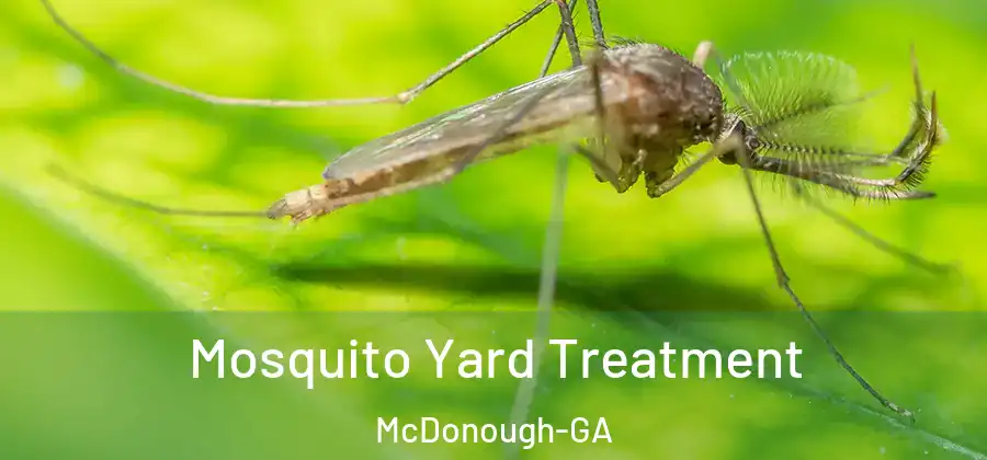 Mosquito Yard Treatment McDonough-GA