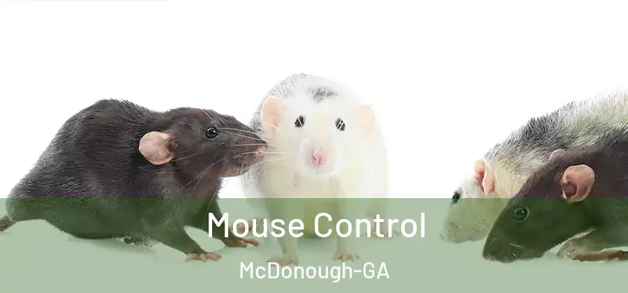 Mouse Control McDonough-GA