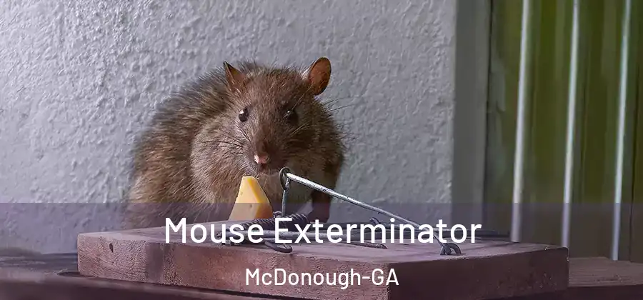  Mouse Exterminator McDonough-GA