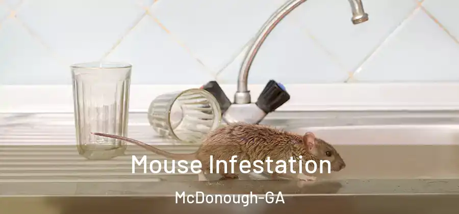Mouse Infestation McDonough-GA