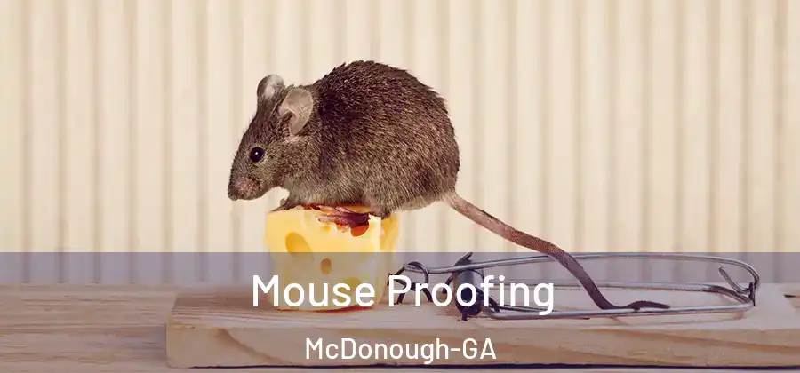 Mouse Proofing McDonough-GA