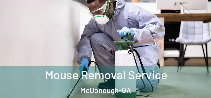 Mouse Removal Service McDonough-GA