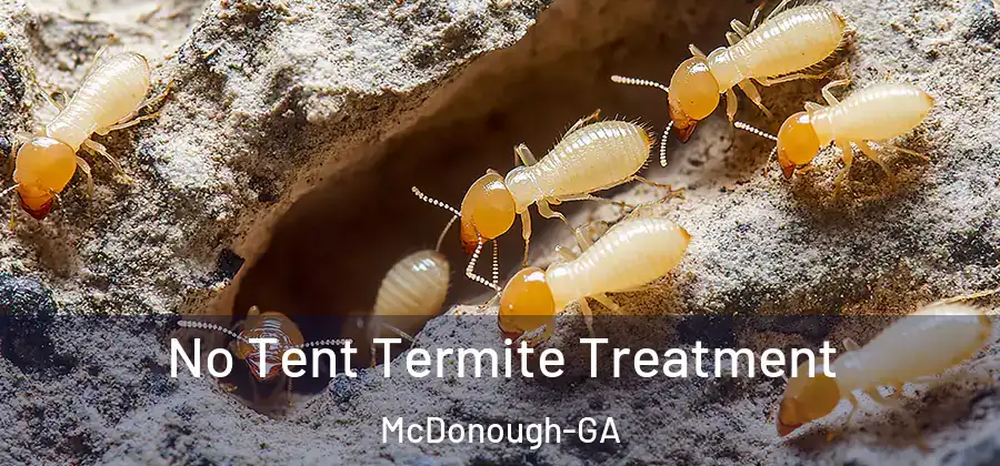 No Tent Termite Treatment McDonough-GA