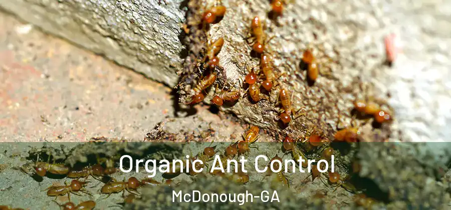 Organic Ant Control McDonough-GA
