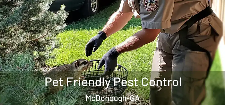  Pet Friendly Pest Control McDonough-GA