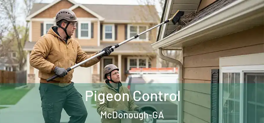  Pigeon Control McDonough-GA
