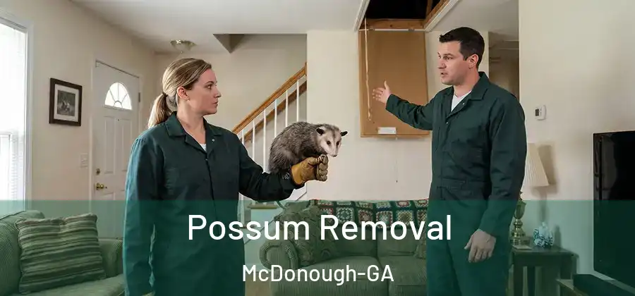 Possum Removal McDonough-GA