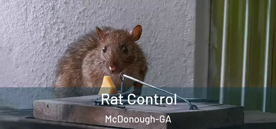 Rat Control McDonough-GA