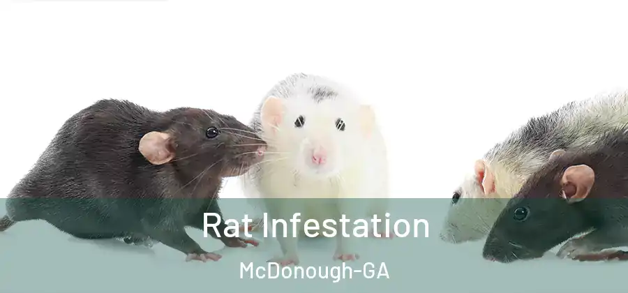  Rat Infestation McDonough-GA