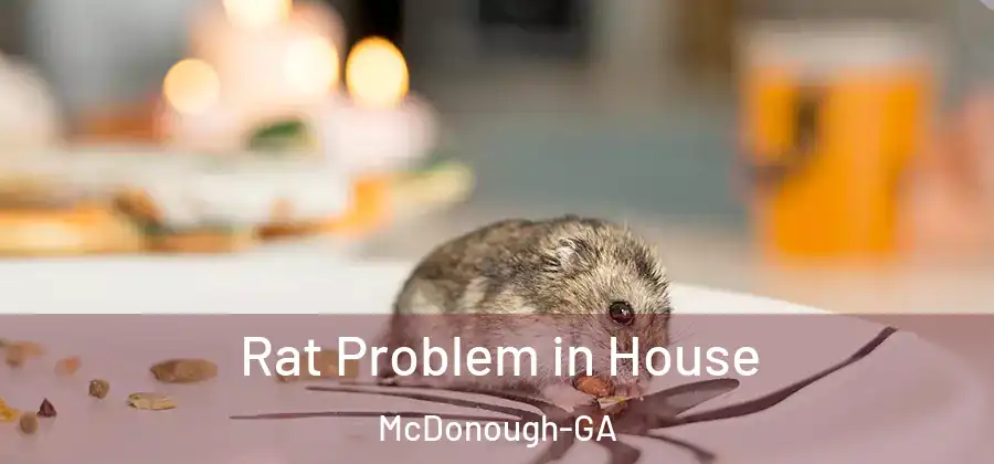  Rat Problem in House McDonough-GA