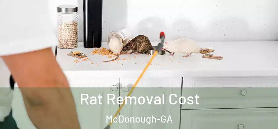 Rat Removal Cost McDonough-GA