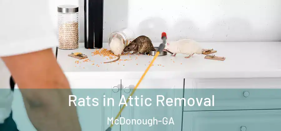 Rats in Attic Removal McDonough-GA