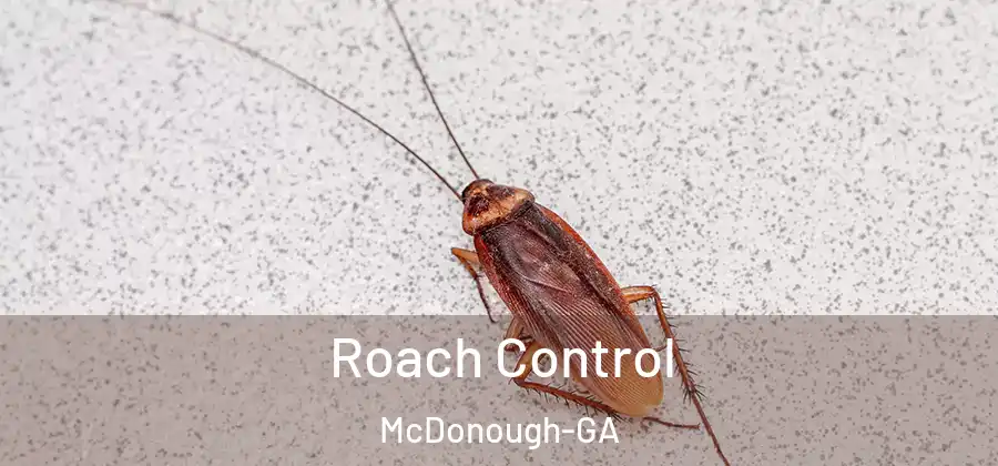  Roach Control McDonough-GA
