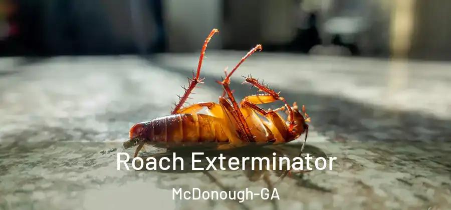 Roach Exterminator McDonough-GA