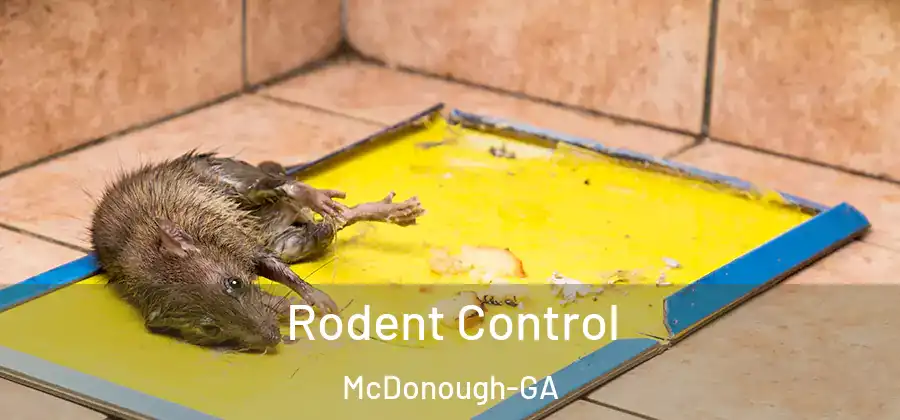 Rodent Control McDonough-GA
