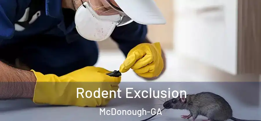 Rodent Exclusion McDonough-GA