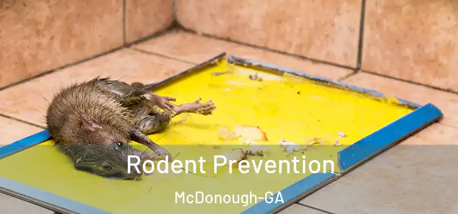 Rodent Prevention McDonough-GA