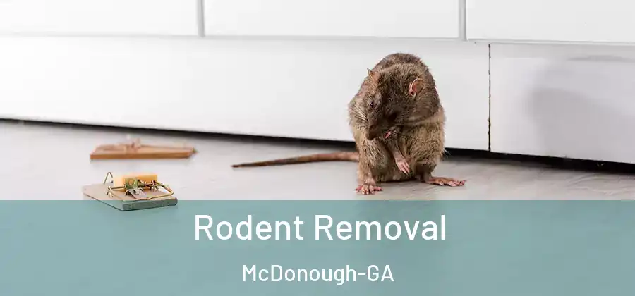 Rodent Removal McDonough-GA