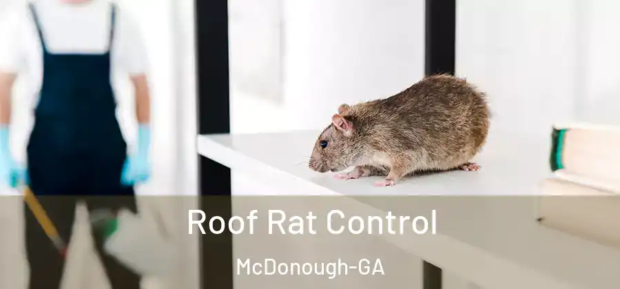  Roof Rat Control McDonough-GA