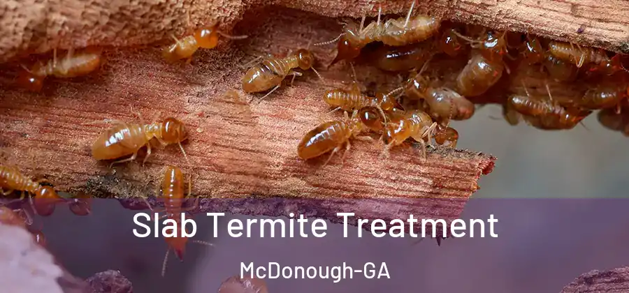  Slab Termite Treatment McDonough-GA