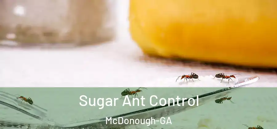  Sugar Ant Control McDonough-GA