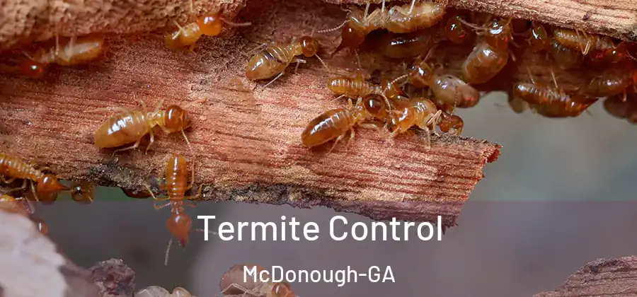 Termite Control McDonough-GA