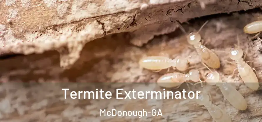  Termite Exterminator McDonough-GA
