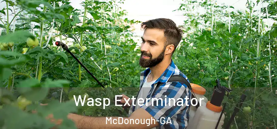 Wasp Exterminator McDonough-GA