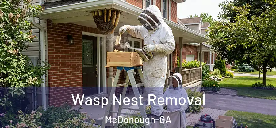  Wasp Nest Removal McDonough-GA