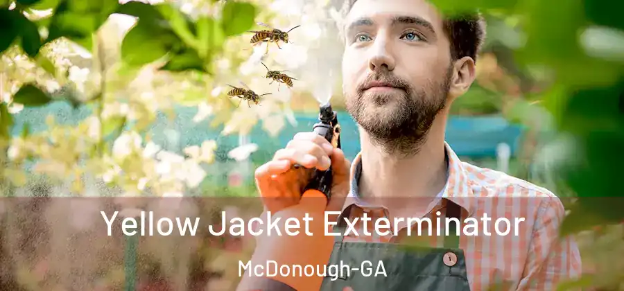  Yellow Jacket Exterminator McDonough-GA