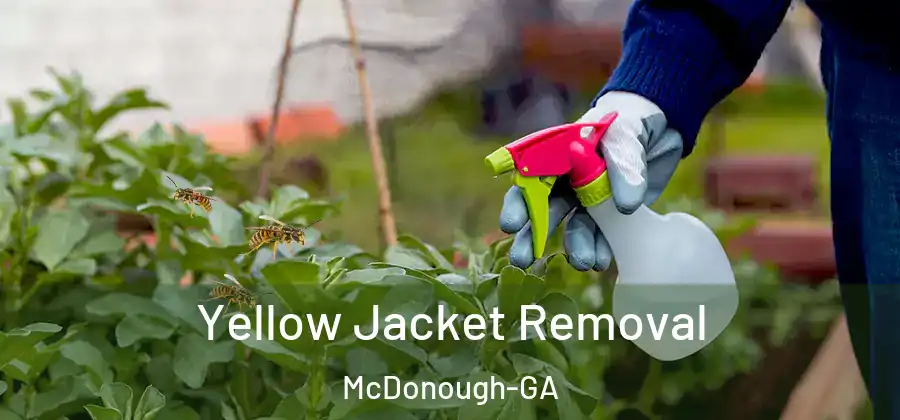Yellow Jacket Removal McDonough-GA